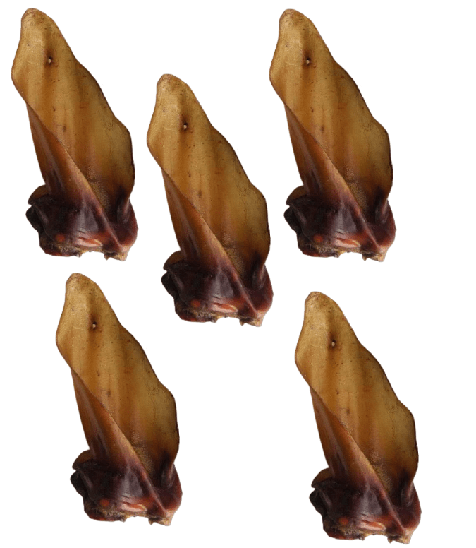 Snack'it Okseører m. muskel 10stk