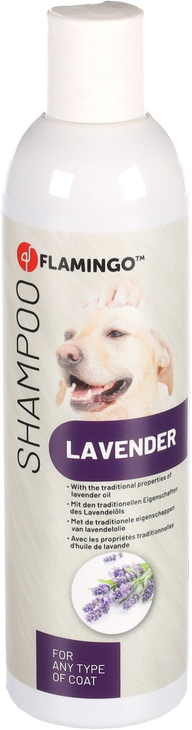 LAVENDER SHAMPOO 300ML
