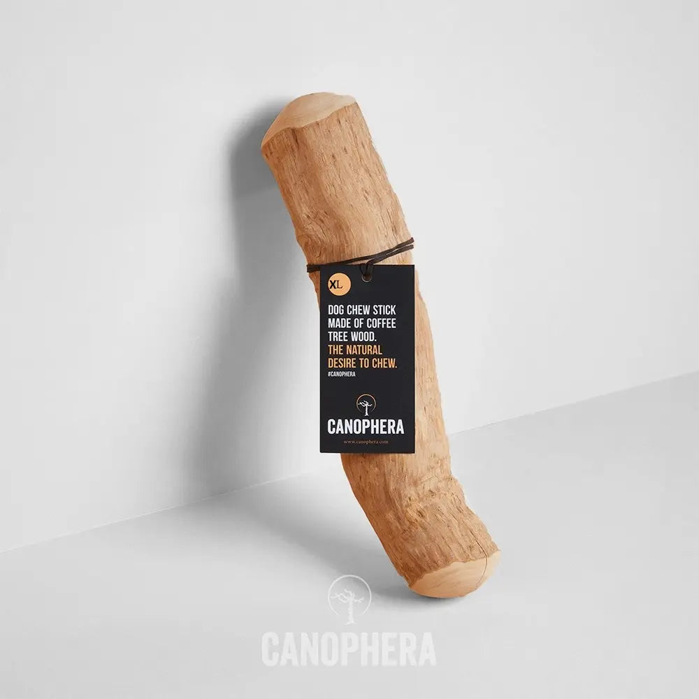 CANOPHERA Kaffetræ XL