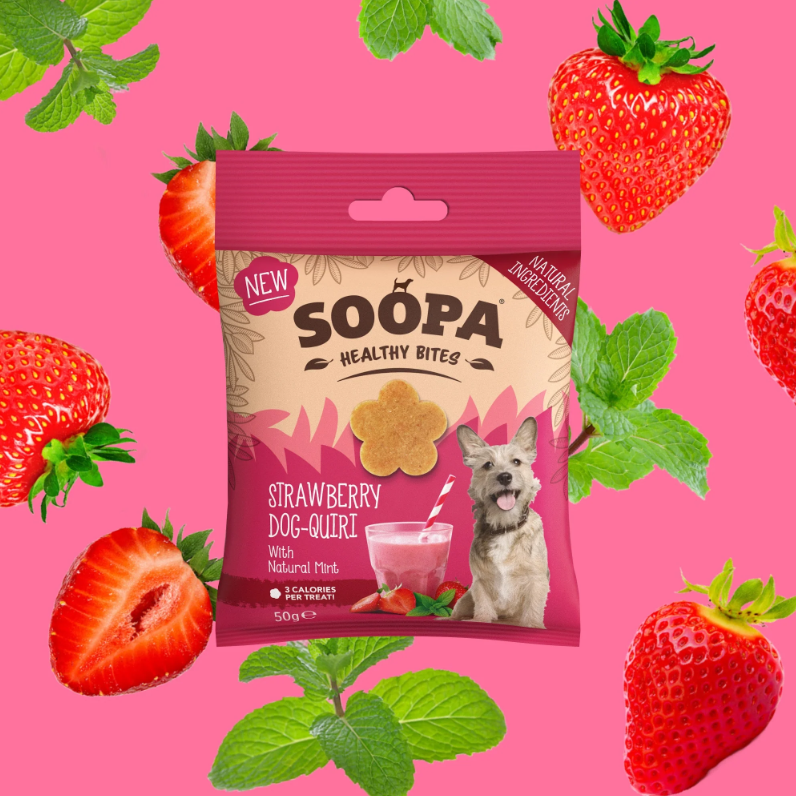 SOOPA Healthy Bites Strawberry Dog-Quiri 50g